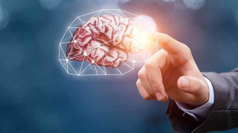 Top 5 webdesignbureaus voor ondernemers & MKB in 2026